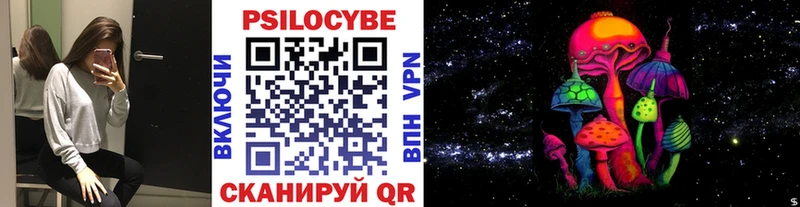 Псилоцибиновые грибы мухоморы  купить наркоту  Шенкурск 
